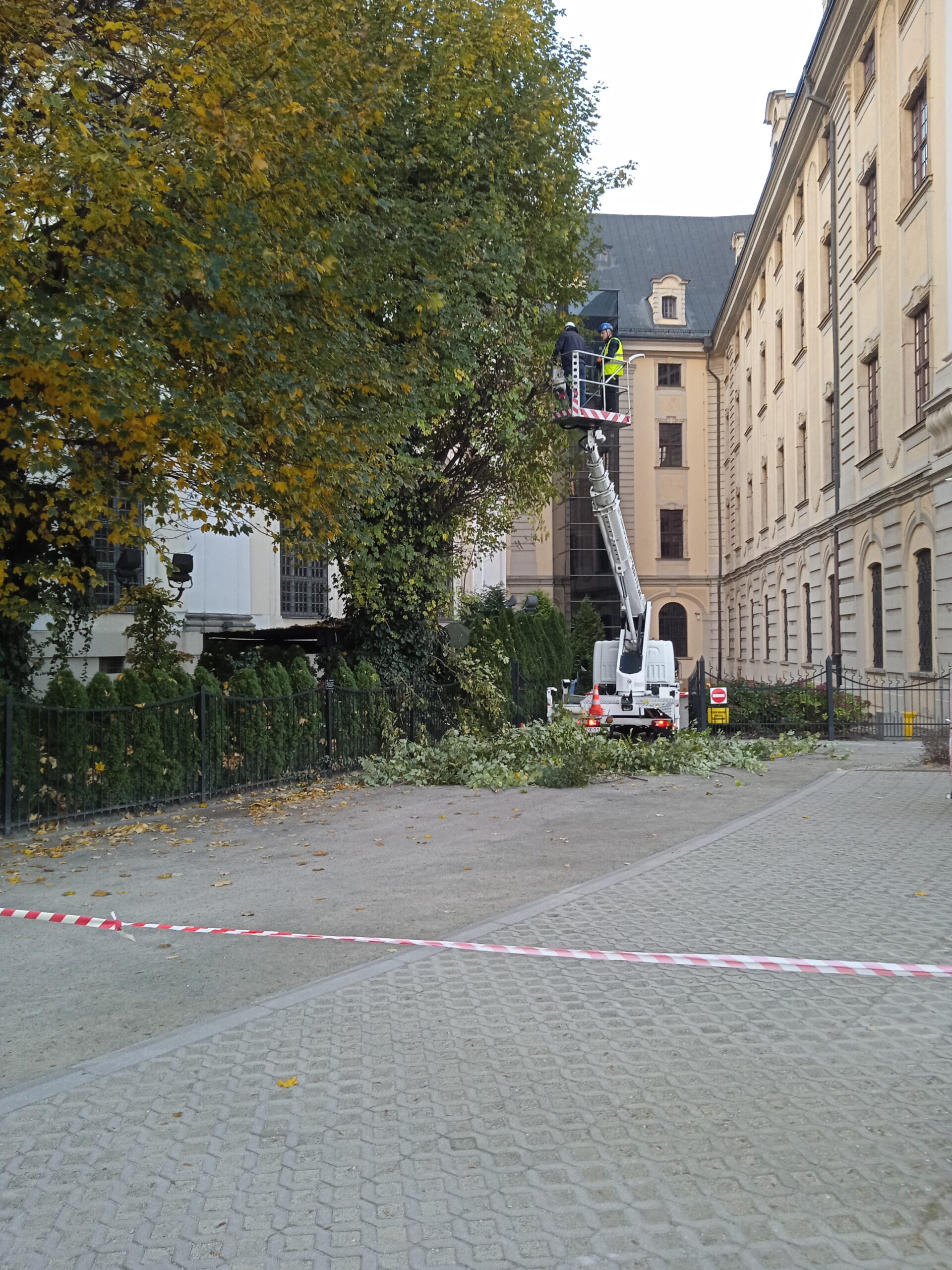Pielęgnacja drzew Wrocław