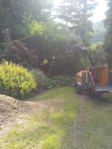 Usługa zrębkowania gałęzi