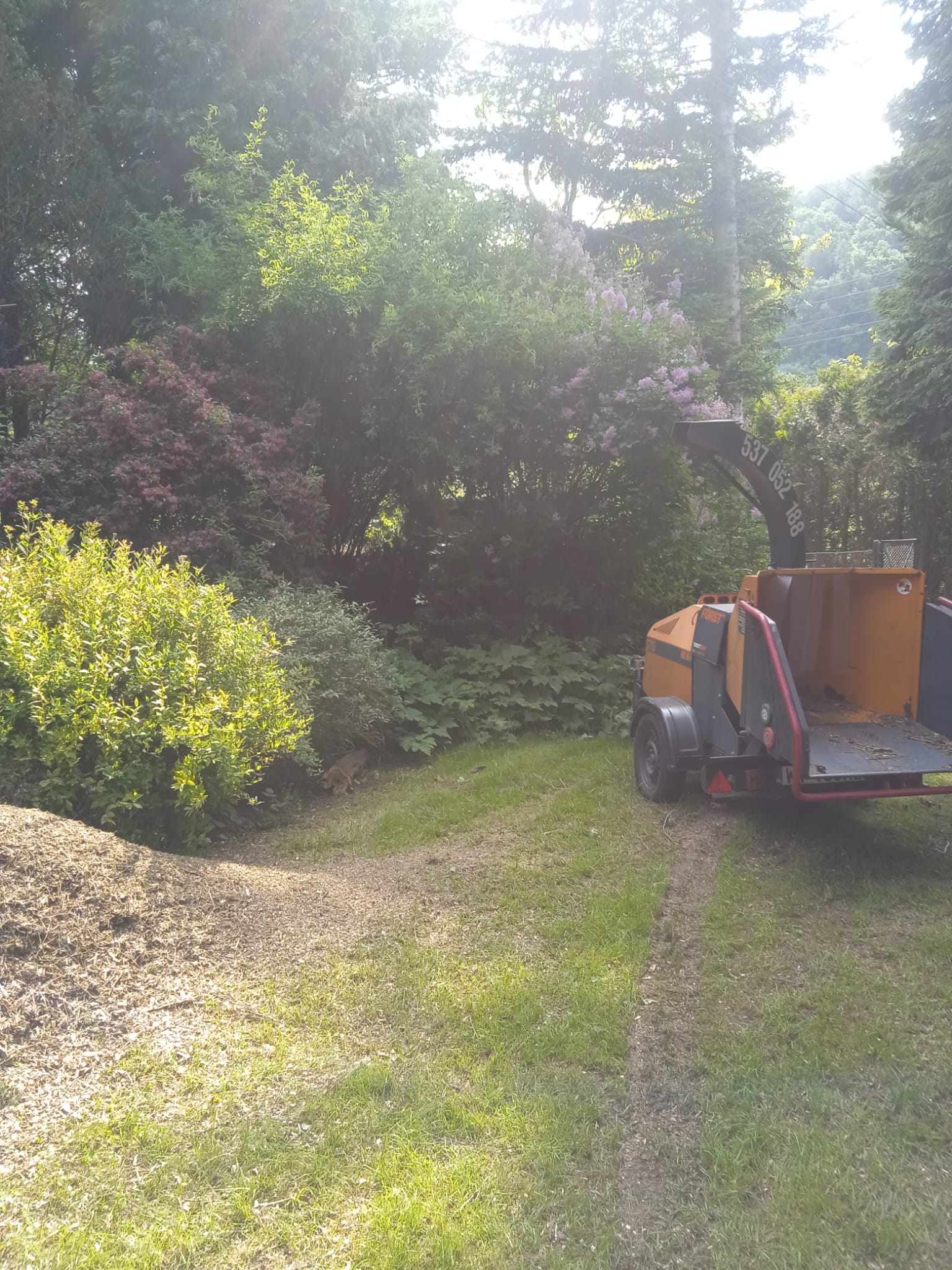 Usługa zrębkowania gałęzi