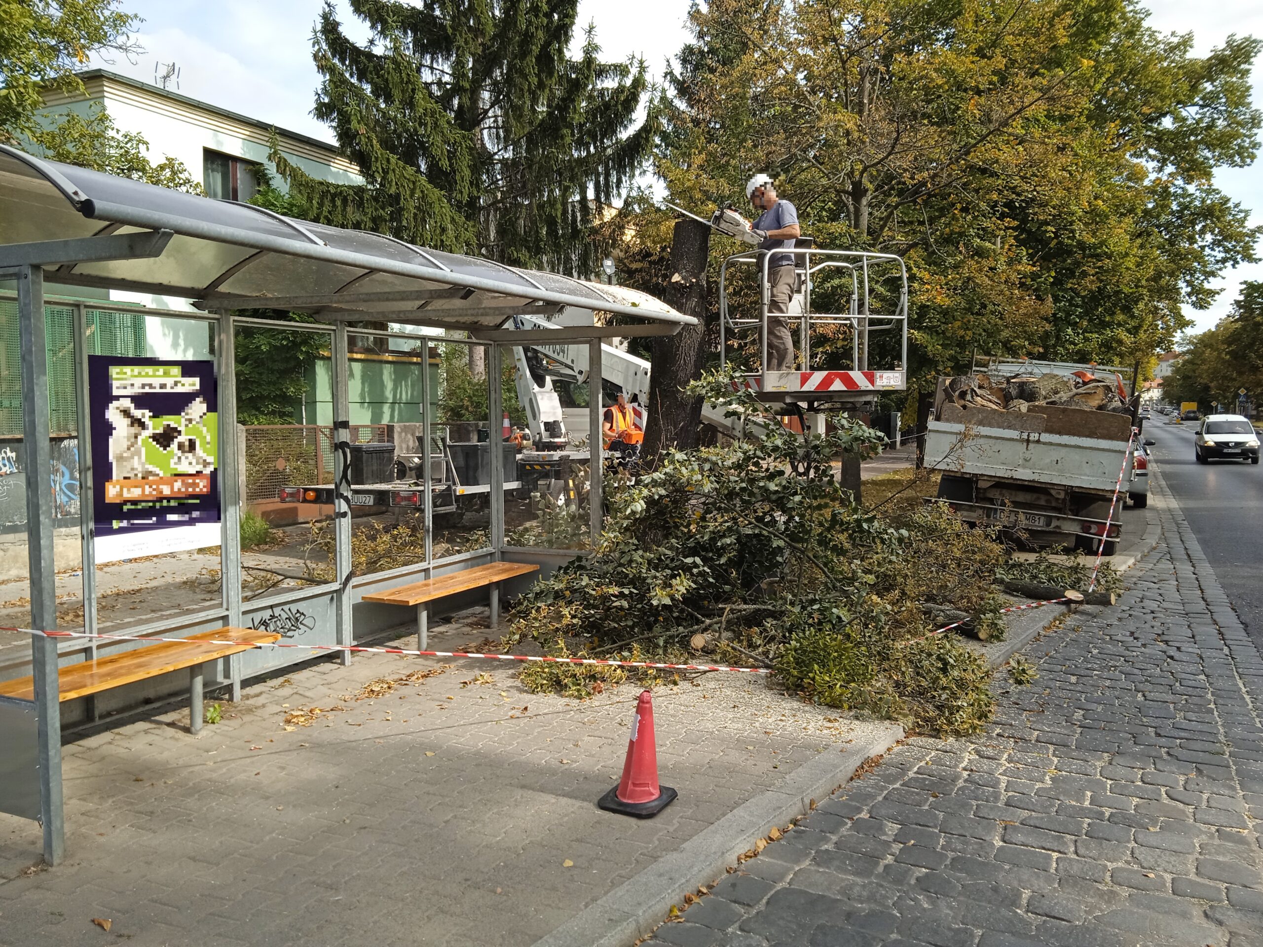 Wycinka drzew z użyciem zwyżki