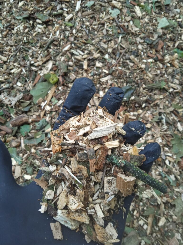 zrębki dębowe